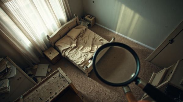Les meilleures solutions pour éliminer les punaises de lit à Toulouse